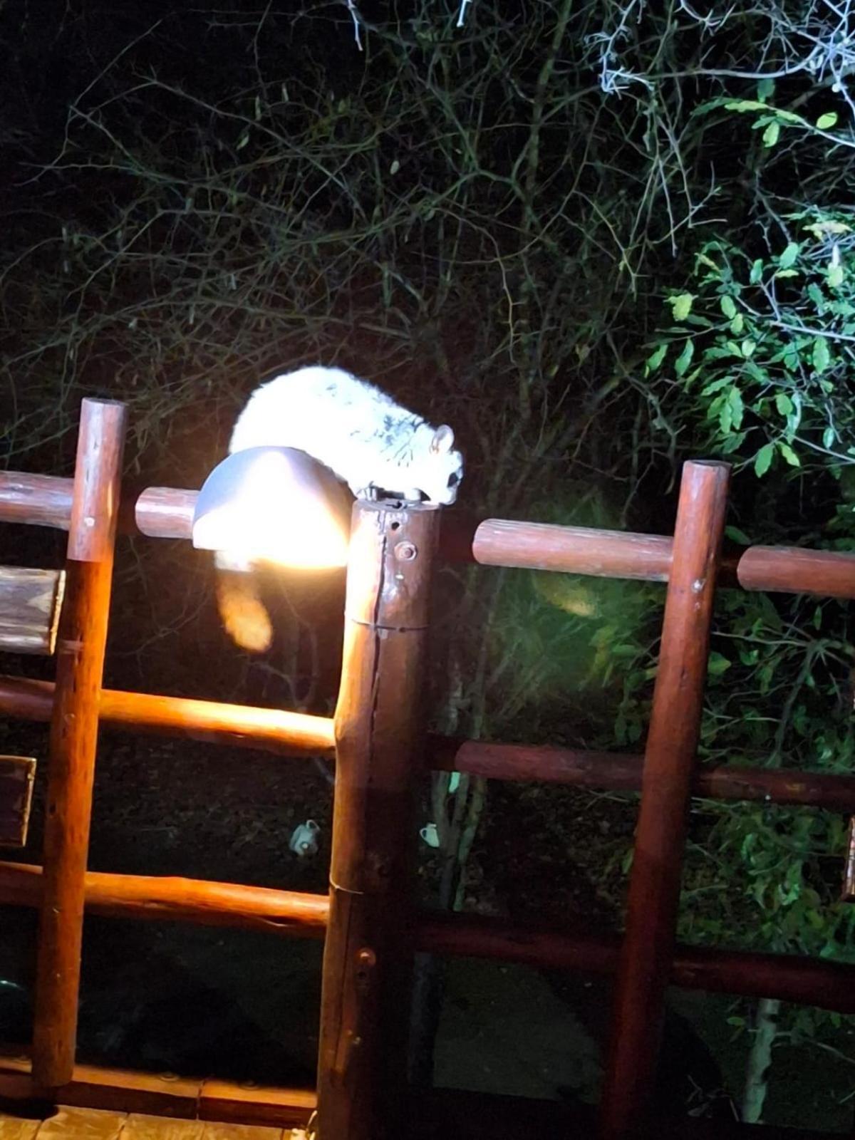 Jabula Lodge Marloth Park Bagian luar foto